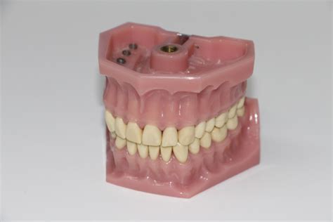 Tempat Belajar Memperbaiki Peralatan Gigi